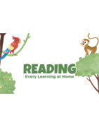 Reading